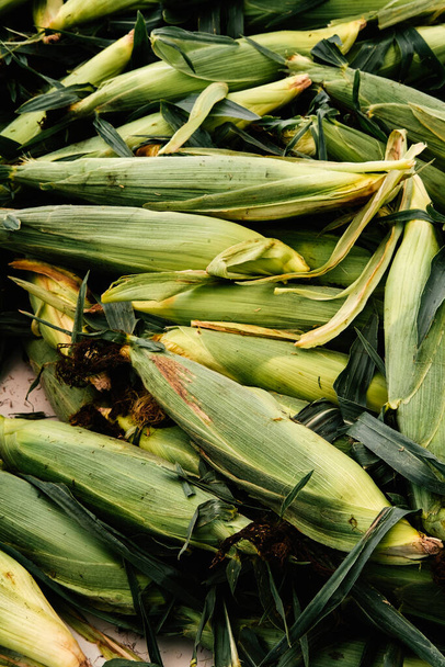 Las espigas frescas de los agricultores comercializan maíz en exhibición en el día de verano - Foto, imagen