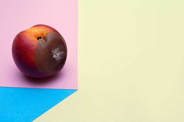 Spoiled food. Rotten nectarine on a colored background. Mold on food leftovers. Copy Space. Place for text. Unpleasant view. - Fotoğraf, Görsel