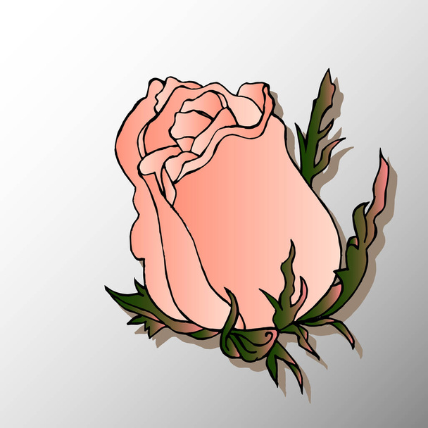 vector illustration, floral background, tender pink roses on a white - pink gradient, for background, cards, invitations - Vetor, Imagem