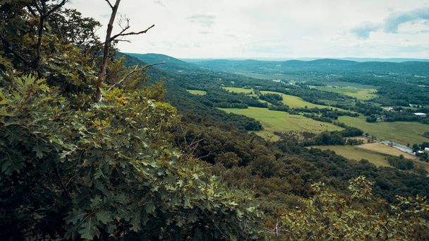 Uitzicht vanaf de top van de trap naar de hemel Trail in de Appalachian Mountains met groene dennen en zomer esdoorn en eik - Foto, afbeelding