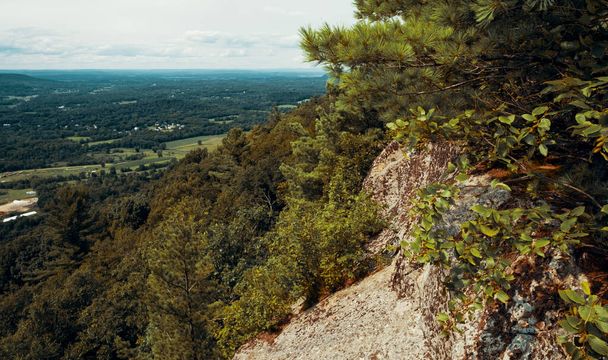 Appalachian Dağları 'ndaki Stairway to Heaven Trail' in tepesinden yeşil çam ağaçları ve yaz akçaağacı ve meşe ağaçlarıyla - Fotoğraf, Görsel
