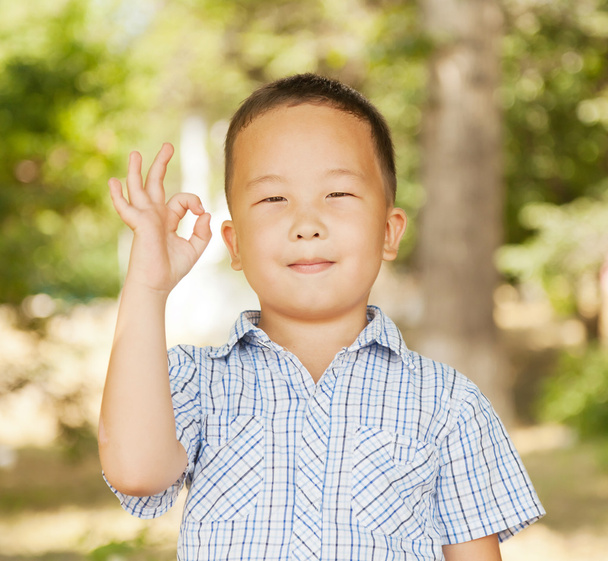 Asian boy 6 years - Фото, зображення