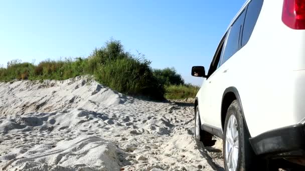 hombre saliendo del coche en aletas en la playa de arena - Metraje, vídeo