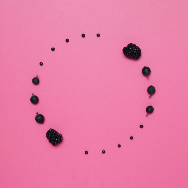 円は明るいピンクの背景に果物で作られました。有機ブラックベリーと黒スグリ。上から. - 写真・画像