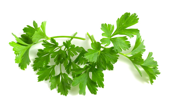 Parsley leaves lie isolated on white background. Greens seasoning for cooking - Photo, Image