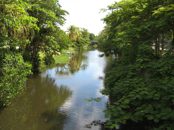 Canal des Rotours, Guadeloupe állam - Fotó, kép
