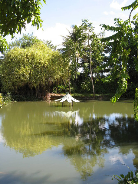 Jardin d 'eau de Blonzac, Γουαδελούπη - Φωτογραφία, εικόνα