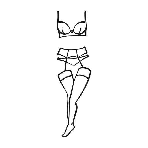 Elegante lingerie con reggiseno e mutandine, bretelle e calze in contorno vettoriale - Vettoriali, immagini