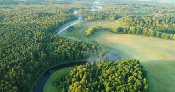Tiro aéreo de dron del río natural - Imágenes, Vídeo