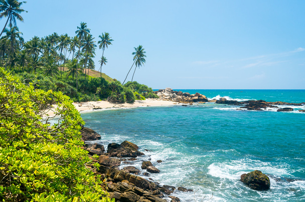 sri Lanka tropikal plaj - Fotoğraf, Görsel
