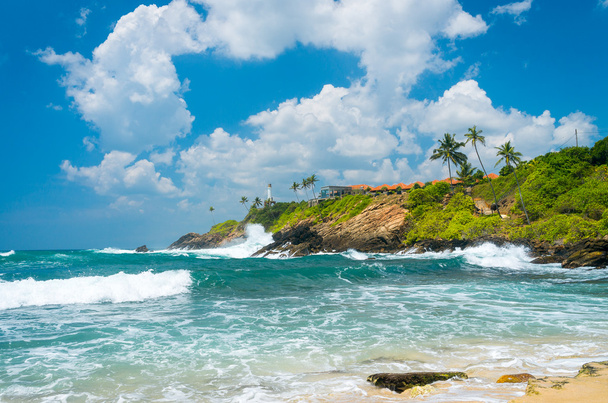 sri Lanka tropikal plaj - Fotoğraf, Görsel