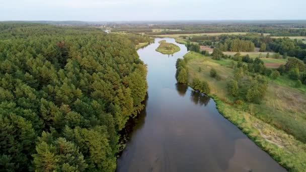 Doğal nehrin insansız hava görüntüsü. - Video, Çekim