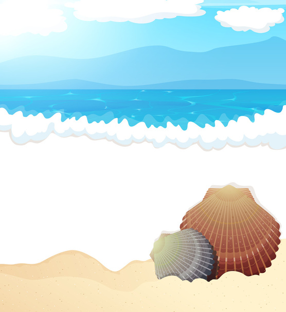 貝殻を持つ熱帯のビーチ - ベクター画像