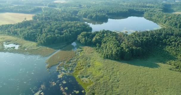 Paisaje aéreo del lago - Metraje, vídeo
