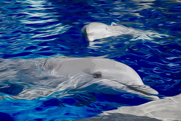 Иллюстрация двух дельфинов, плавающих в голубой воде. - Фото, изображение