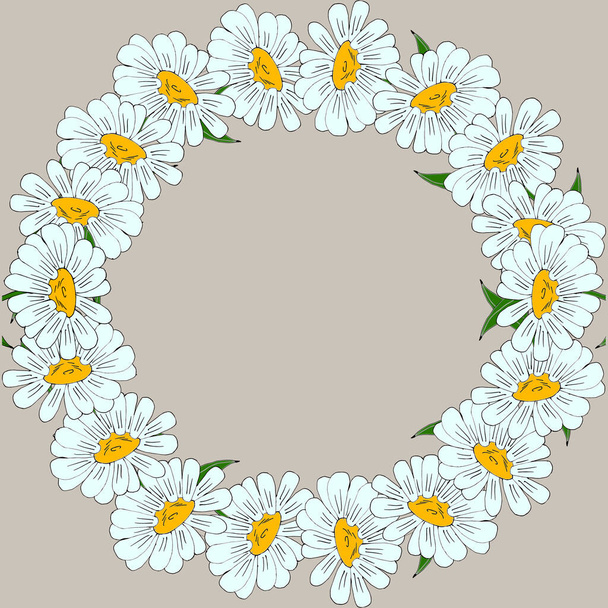 vector illustration, wreath of delicate daisies, for cards, invitations, text - Vektör, Görsel