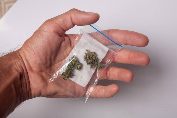 hand with pack of marijuana - Foto, Imagen