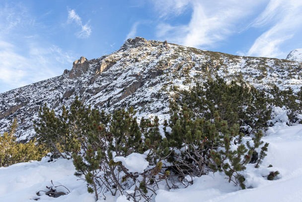 ブルガリアのマリヨヴィツァピーク近くのリラ山の素晴らしい冬の風景 - 写真・画像