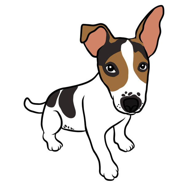 Jack Russell cachorro retrato retrato desenho animado vetor ilustração - Vetor, Imagem