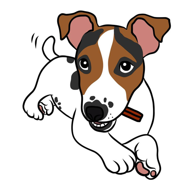 Jack Russell puppy dog eating snack cartoon vector illustration - Vector, Image