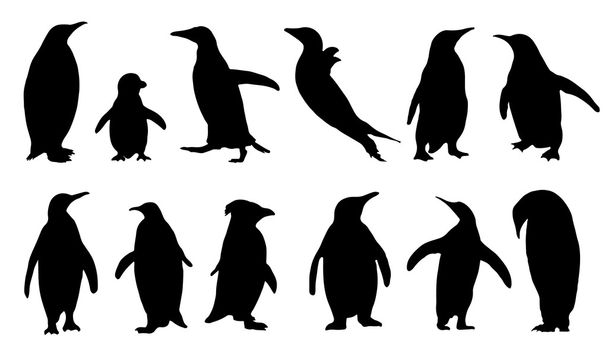 Pinguin-Silhouetten - Vektor, Bild