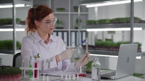 biológiai kutatás, női biológus kommunikál laboratóriumi asszisztensek videokapcsolat a laptop és megvitatása növények kémcsövek, miközben ül a laboratóriumi háttér polcok mikro - Felvétel, videó