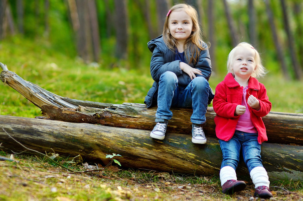 Sisters sitting on logs - Фото, изображение