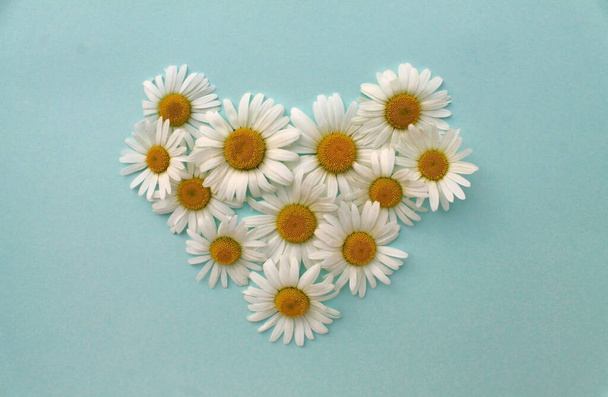 heart of daisies on a blue background - Foto, imagen