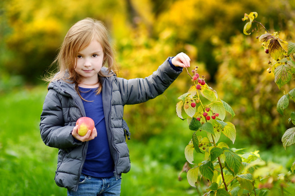little   girl picking raspberries - Foto, Bild