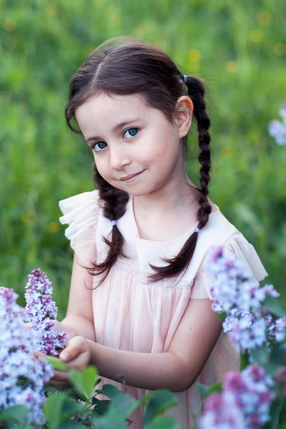Красива маленька дівчинка з довгим волоссям, заплетена в коси, стоїть в бузкових кущах і тримає в руках букет. літні прогулянки
 - Фото, зображення
