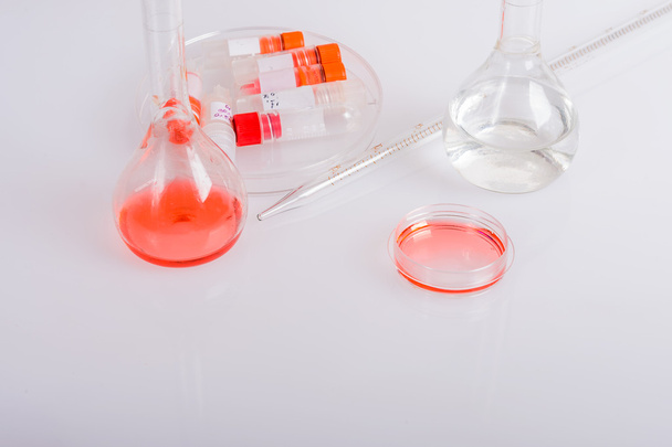 Platos de laboratorio para experimento bioquímico. Soluciones para el diagnóstico biomédico
. - Foto, imagen