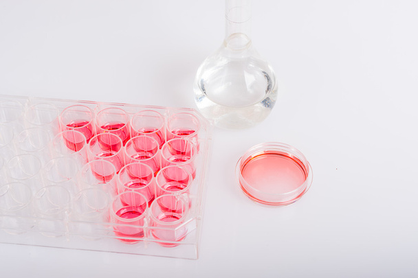 Platos de labware y placa con cultivo celular
 - Foto, imagen