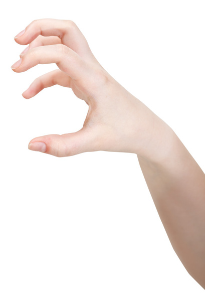 yan görünüm açık pençeleri palm - el hareketi - Fotoğraf, Görsel