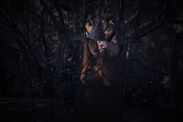 Scary halloween witch standing over spooky dark forest with tree, leaves and vine, Halloween mystery concept - Foto, Bild