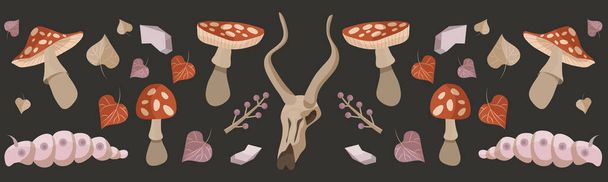 Botanical vintage banner. Ingredients for the potion. Vector illustrations of plants, mushrooms, caterpillars, crystals for books, games. Autumn. Drawing engraving sketch retro. The skull of an animal. - Vetor, Imagem