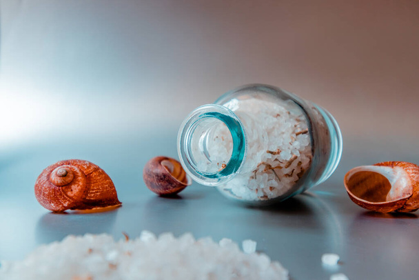 Sea salt is poured from a jar next to seashells on a metallic white background. - Photo, Image