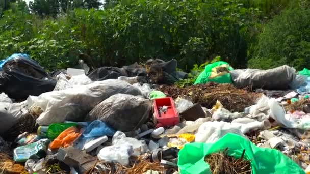 Großer Müllhaufen nahe der Straße und der Natur - Filmmaterial, Video