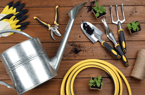 Gardening tools and plants on wooden background, flat lay - Foto, imagen