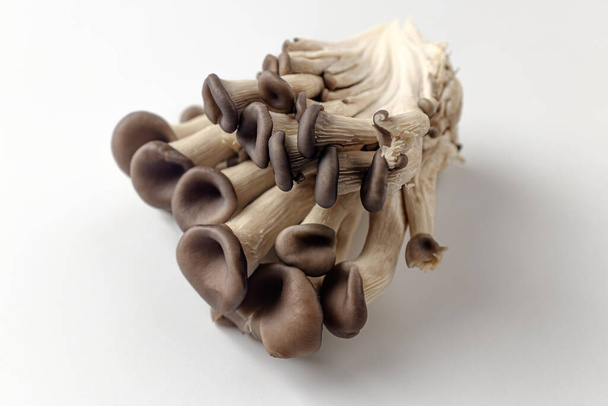 Fragrant mushrooms. Edible mushrooms. Vegetables with a soft texture and chewy texture - Fotografie, Obrázek