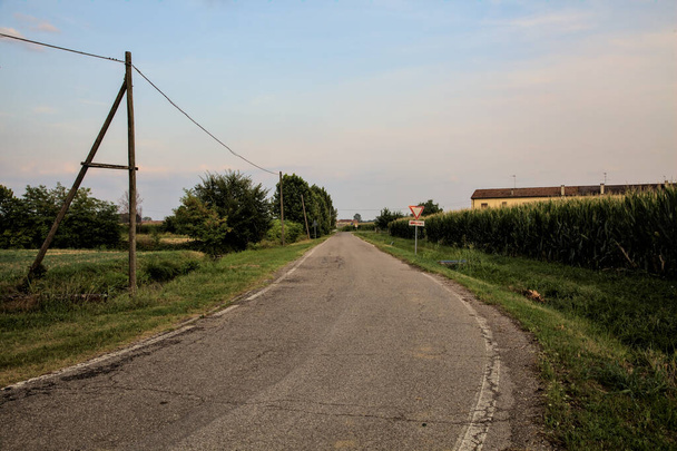 Road bordered by fields in the italian countryside at sunset in summer - Foto, Imagen
