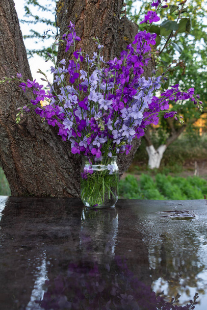 Hermoso ramo de flores caseras - Delphinium azul y púrpura en un frasco de agua - Foto, imagen