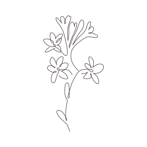 Line art flowers picture. The contemporary draw of line plants. Abstract minimalist aesthetic vector. - Vektor, obrázek