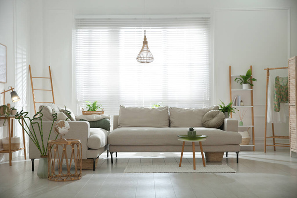 Stylish living room interior with comfortable grey sofa and plants - Foto, Bild