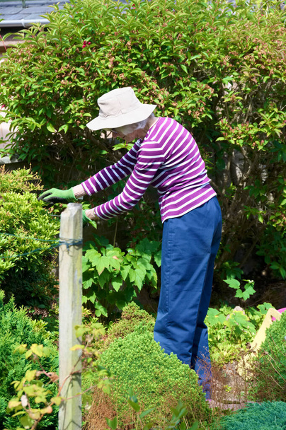 Senior elderly person active lifestyle in garden during summer - Valokuva, kuva