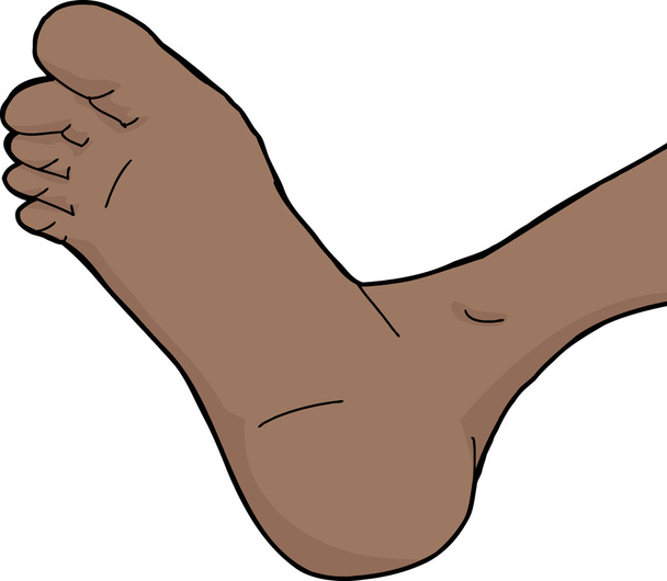 Semelle de pied isolée
 - Vecteur, image
