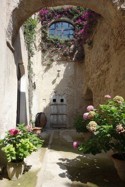 Garden inside Aragonese castle in Ischia Island, Italy - 写真・画像