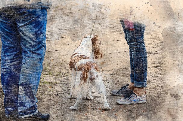 Aquarelle numérique d'un chien cocker anglais. Un animal de compagnie blanc et brun avec une queue coupée sur une promenade avec un homme et une femme. L'art moderne. Papier peint abstrait. - Photo, image