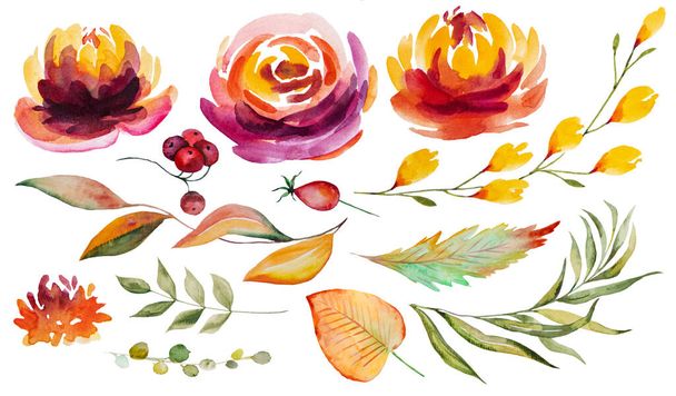 Autumn Watercolor collection with orange and red leaves and flowers isolated set - Foto, Imagen