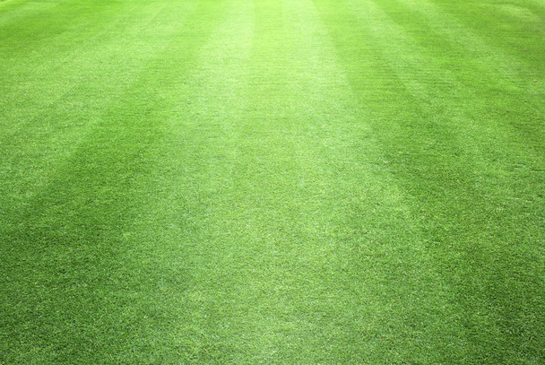Greensward voetbal - Foto, afbeelding