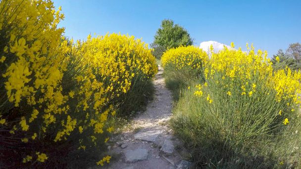 Walk in the heart of the Luberon regional natural park in France - Photo, Image